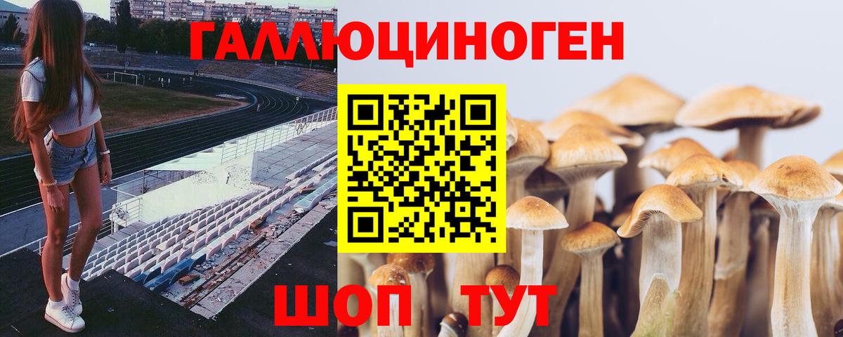 Галлюциногенные грибы Cubensis  Вход с VPN  Острогожск 